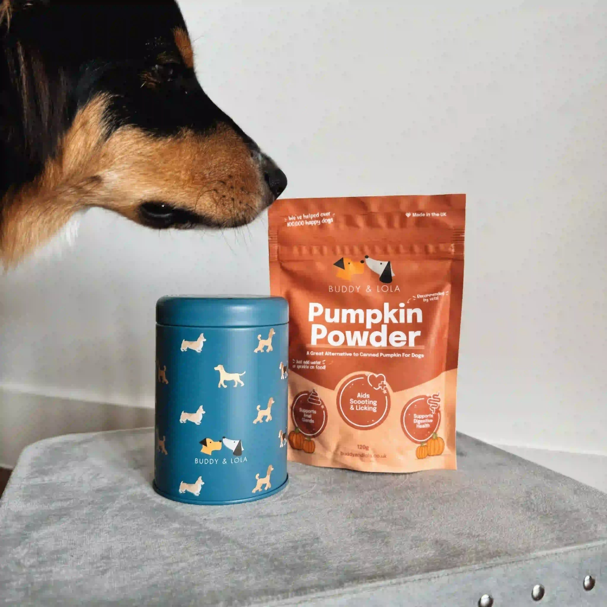 Natural Pumpkin Powder for Dogs Digestive Anal Gland Support