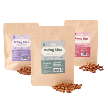 Years Brainy Bites Bundle 360 bites