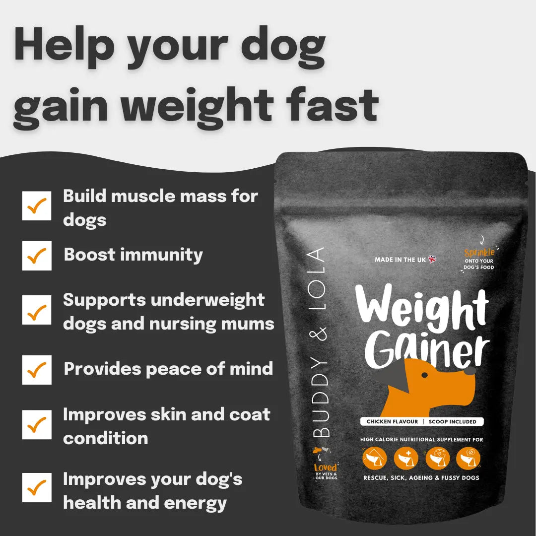 Weight Gainer for dogs