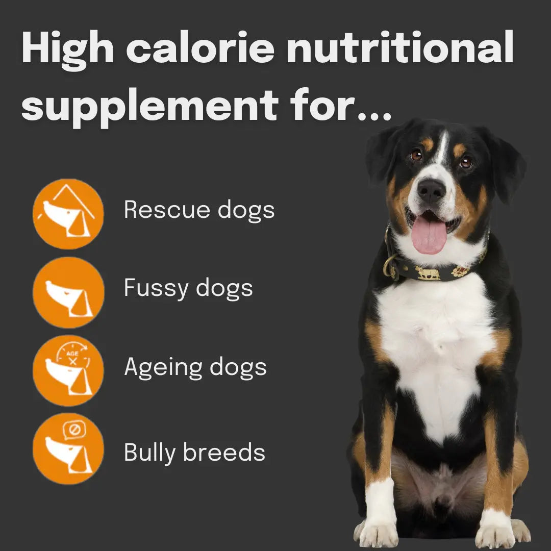 High calorie dog sales food weight gain uk
