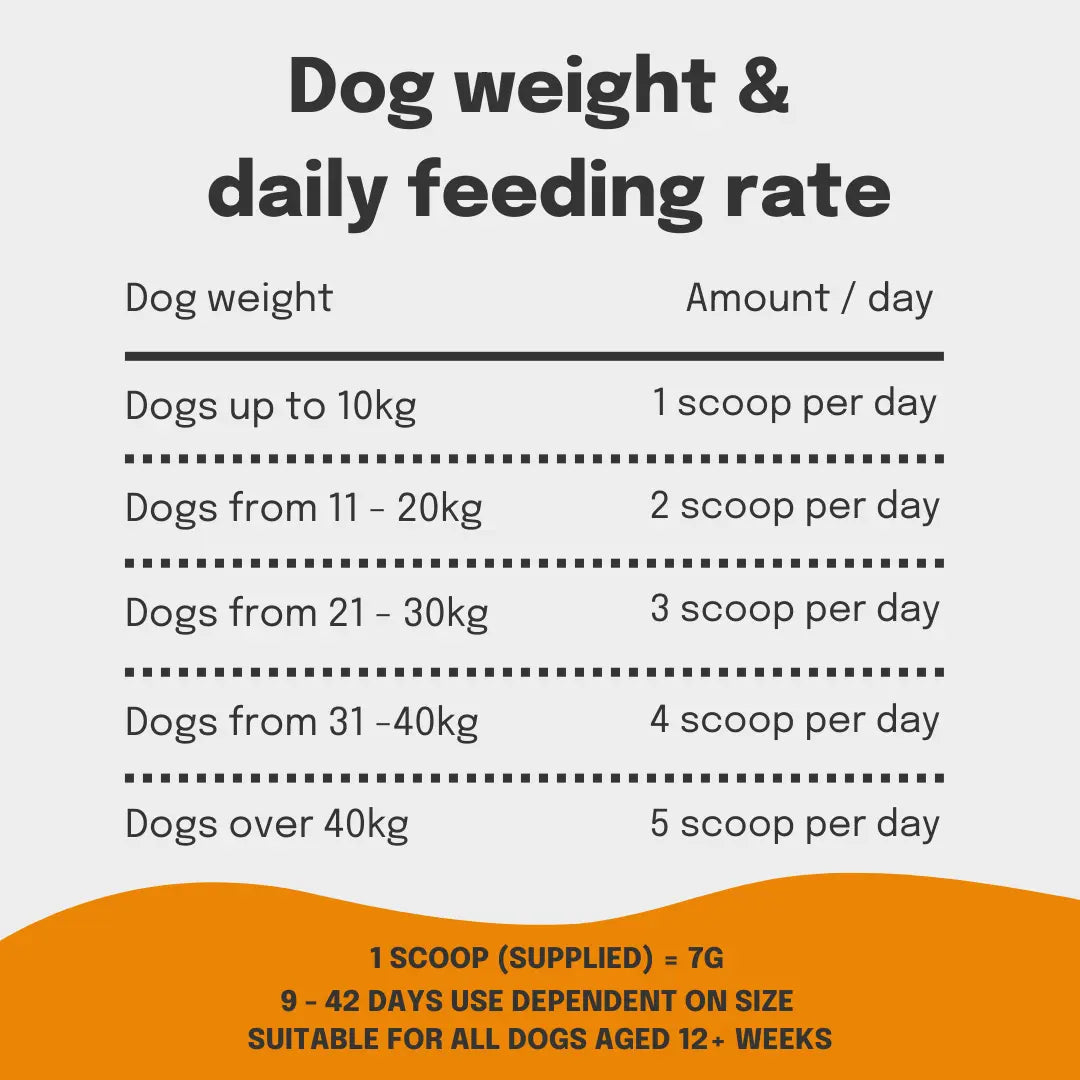 Weight Gainer for dogs